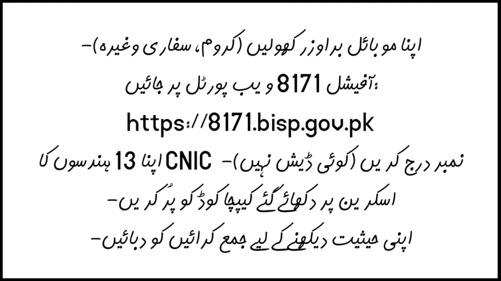 how can i check my bisp payment